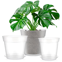 Baderke clear nursery pots front view showing three sizes and trays for easy plant care