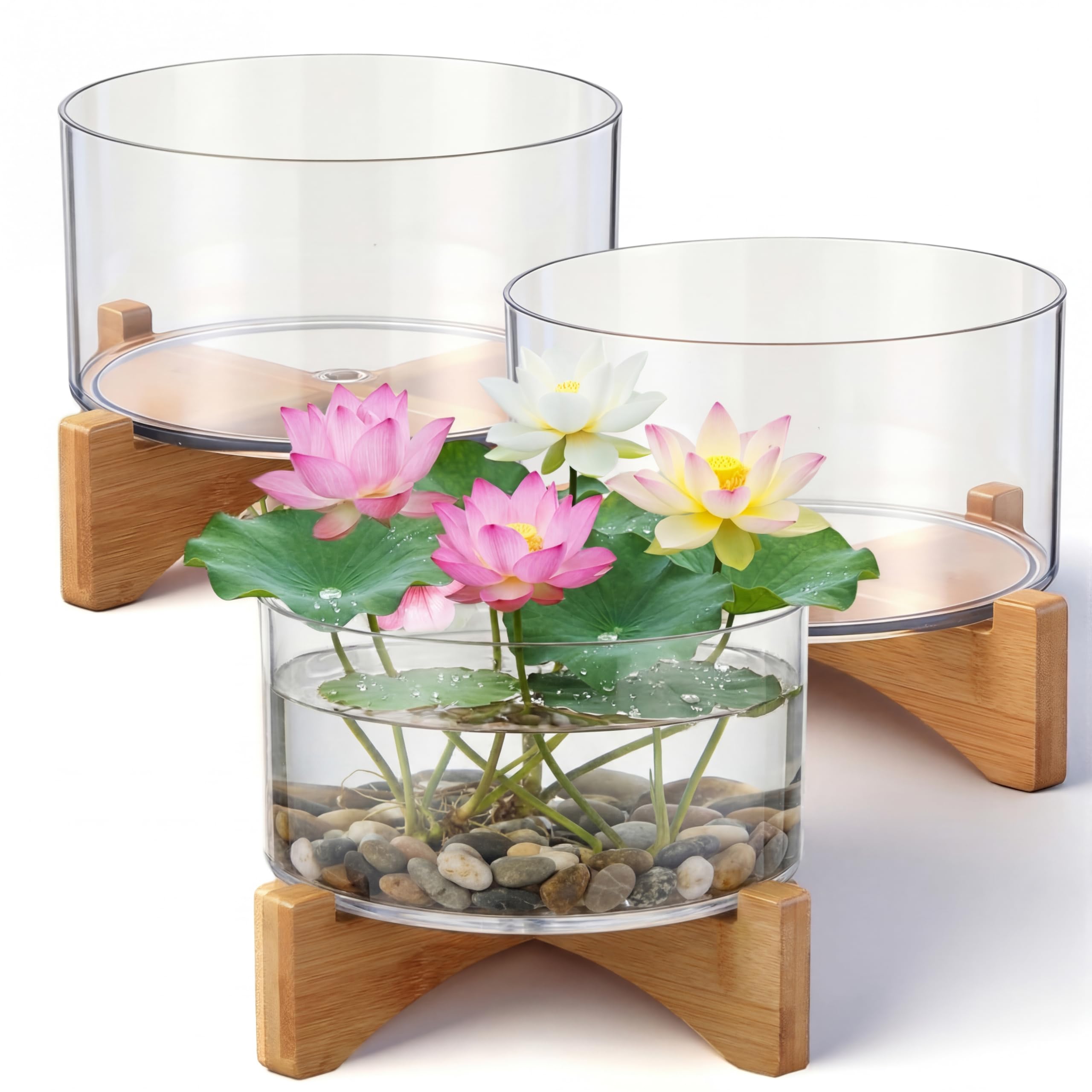Baderke front view of three lotus bowls showing clear display benefit