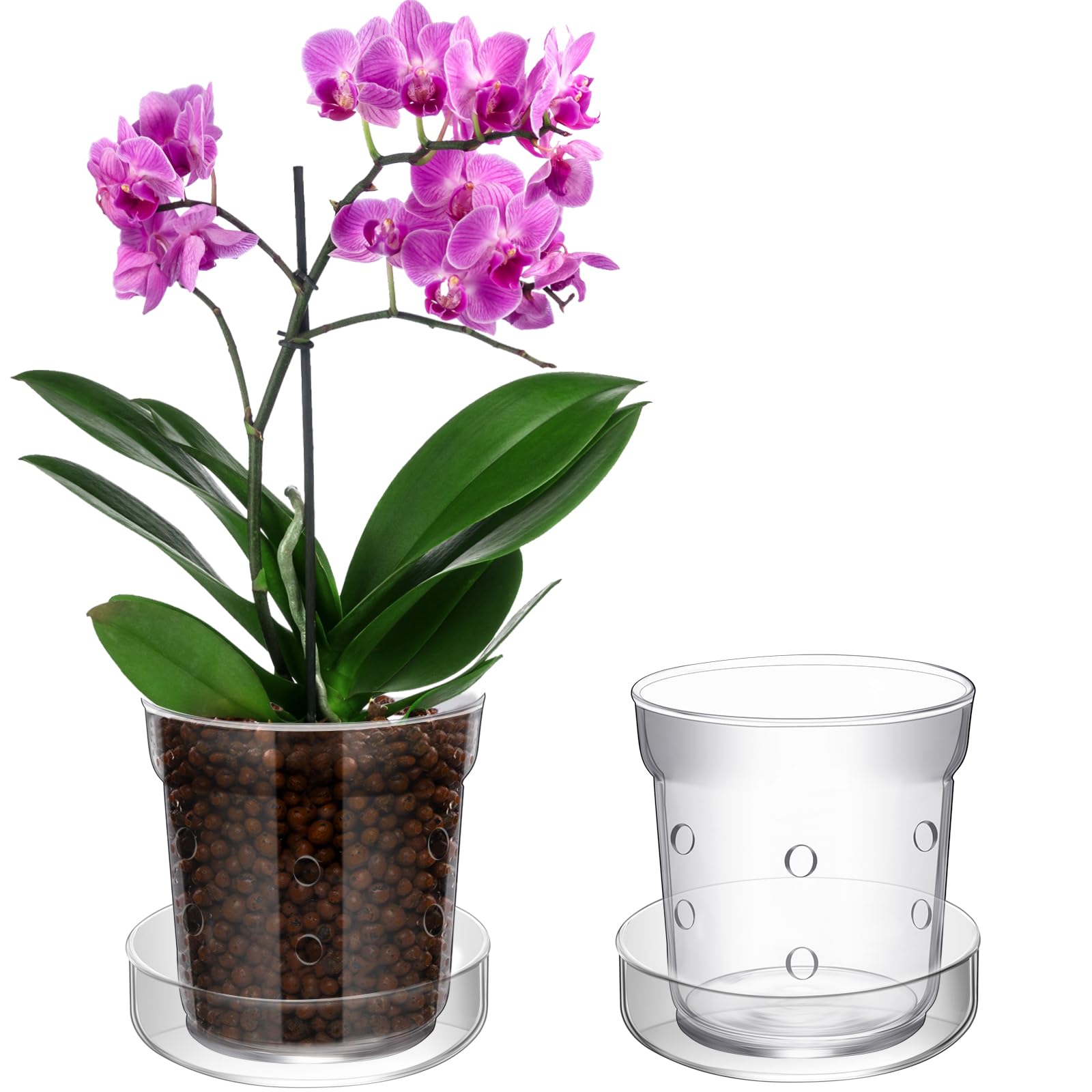 Baderke front view glass orchid pot showing clean modern design and function