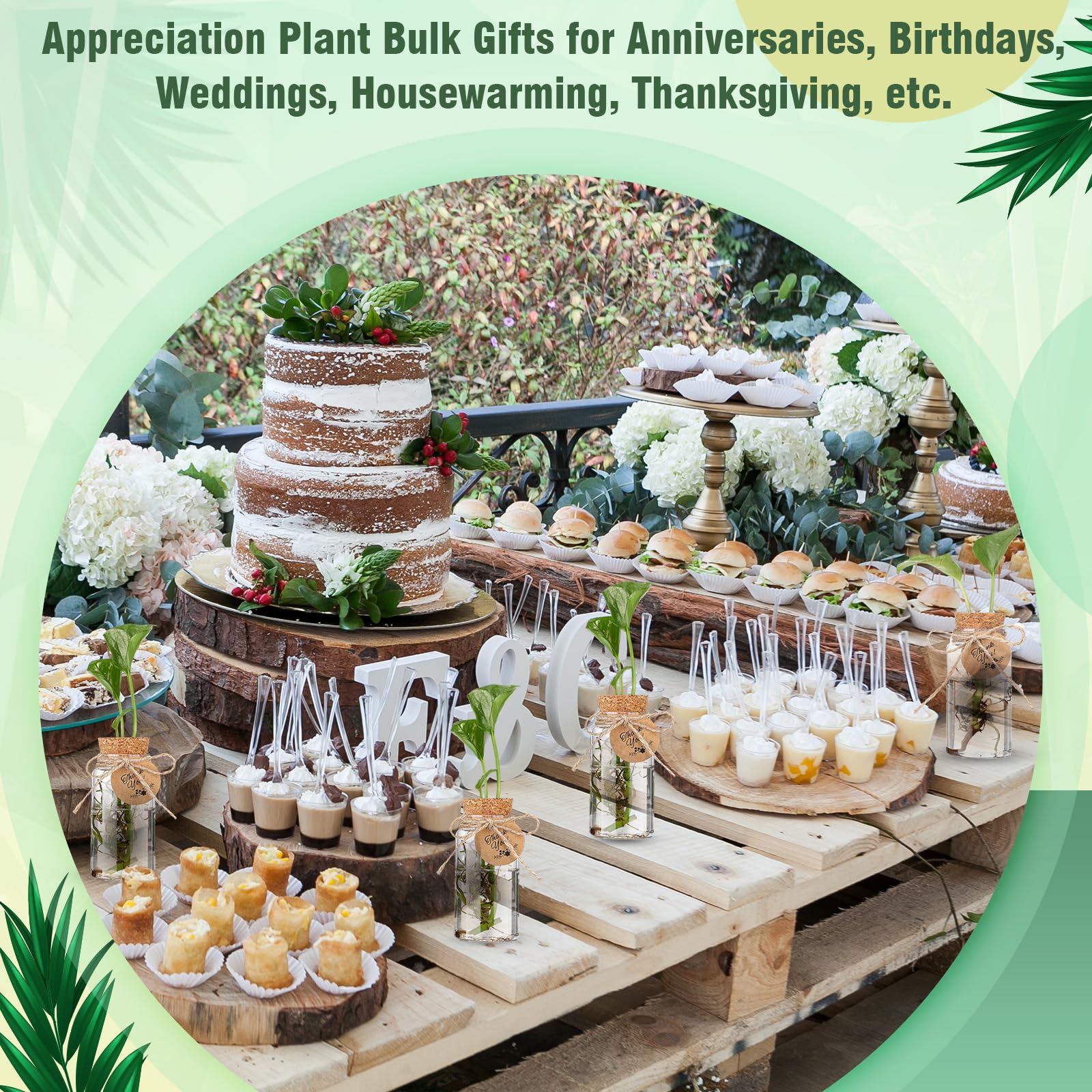 Baderke full 48-piece set arranged, emphasizes bulk supply for workshops benefit
