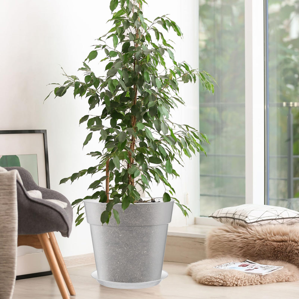 Baderke pots styled on shelf showing space-saving display and organization benefit