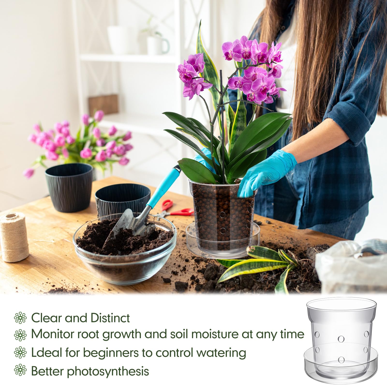 Baderke lifestyle window sill display demonstrating decorative indoor placement
