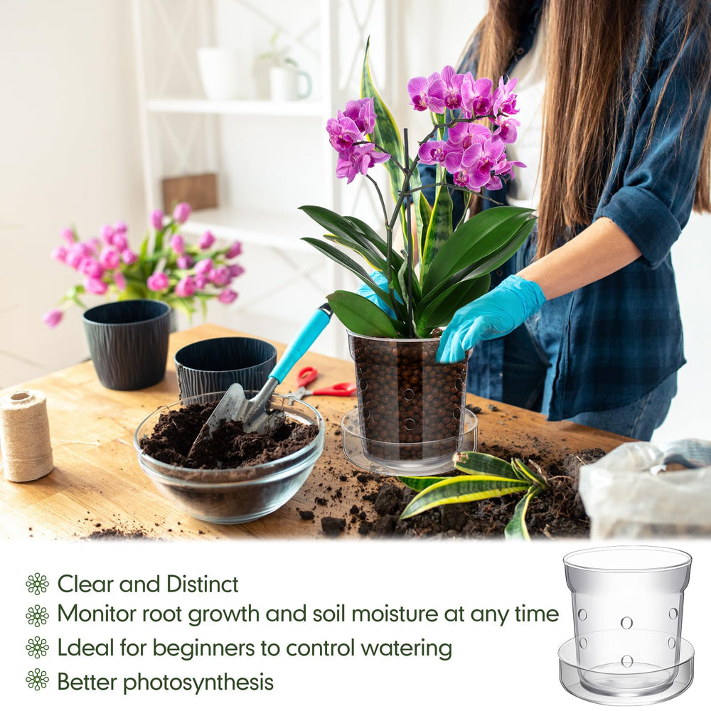 Baderke lifestyle window sill display demonstrating decorative indoor placement