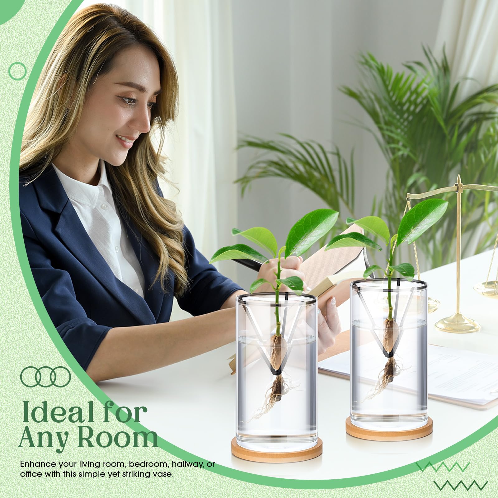 Baderke group on windowsill as lifestyle decor showing attractive indoor greenery benefit