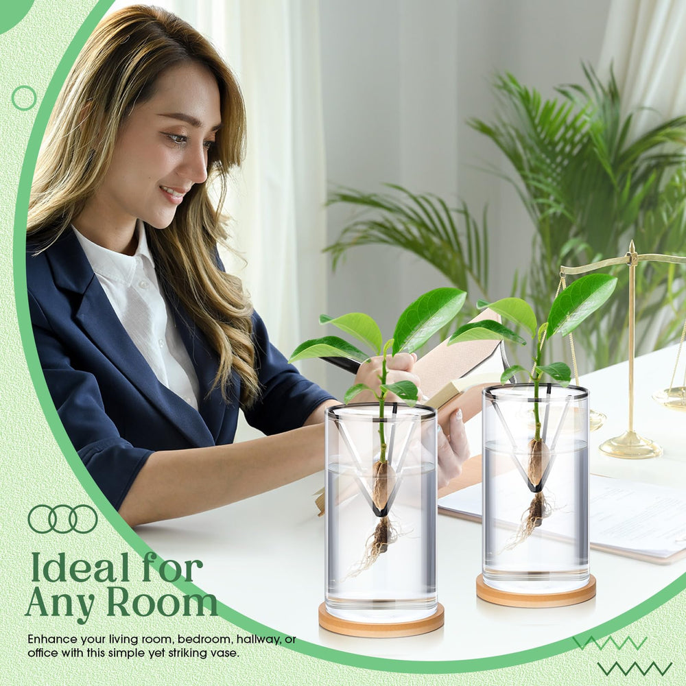 Baderke group on windowsill as lifestyle decor showing attractive indoor greenery benefit