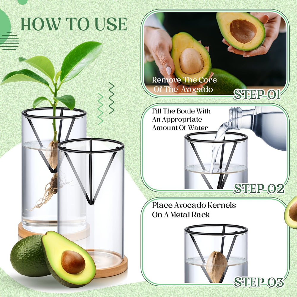 Baderke conical metal stand detail showing secure support for avocado seeds benefit