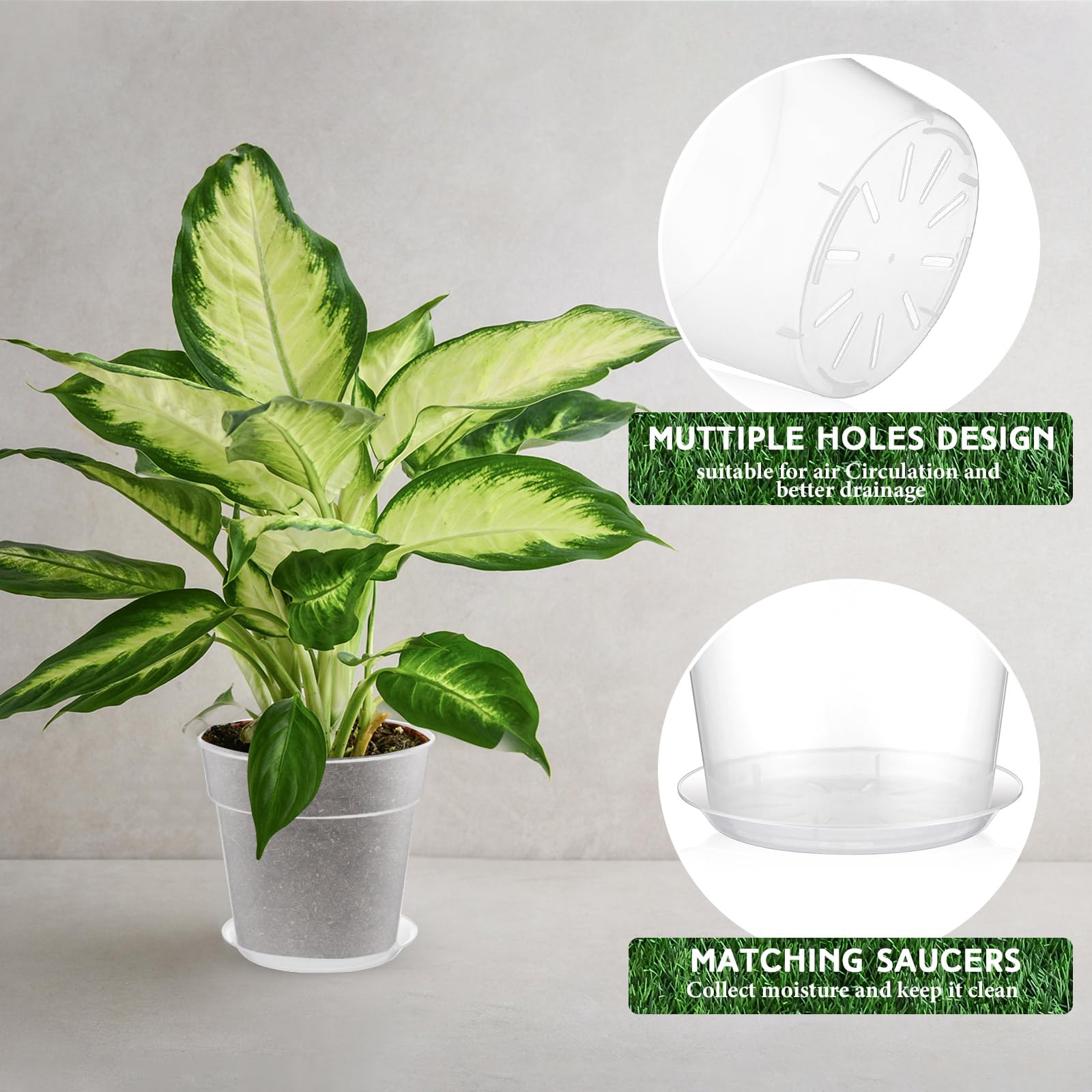 Baderke pot seated in its tray side profile showing stability and spill control benefit