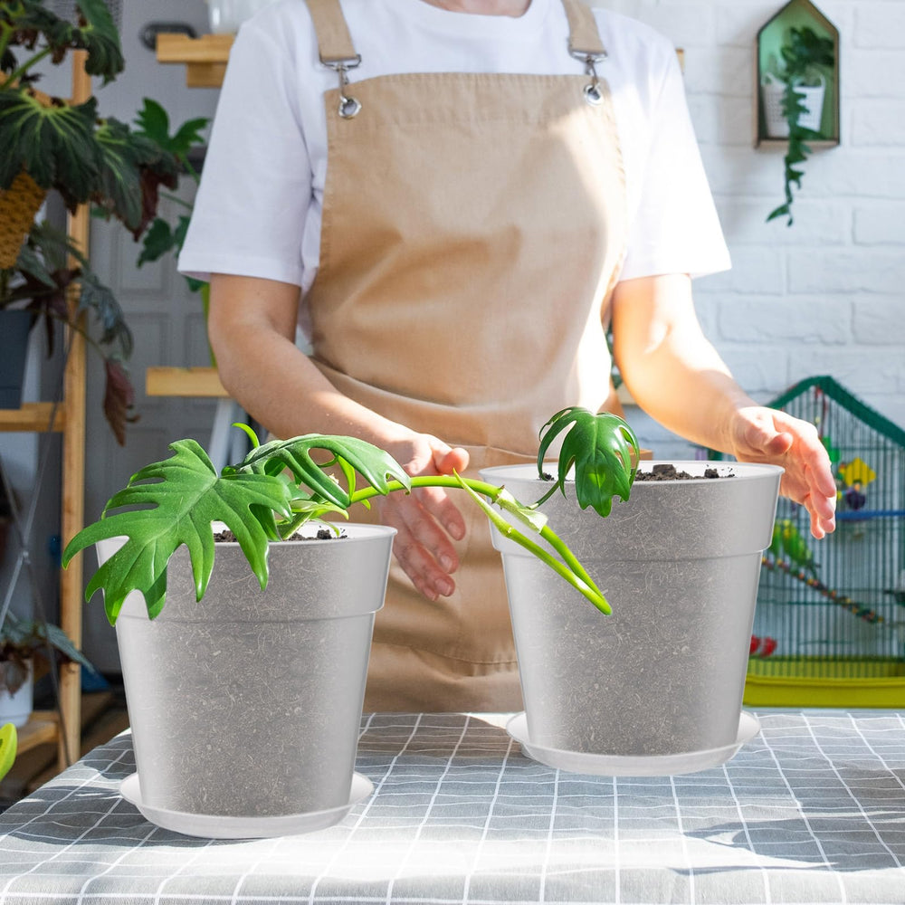 Baderke pot with visible roots illustrating easy root monitoring benefit