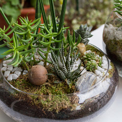 Baderke bowl held in hand showing actual scale benefit