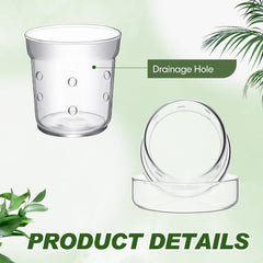 Baderke tray and base shot protecting surfaces and retaining plant moisture