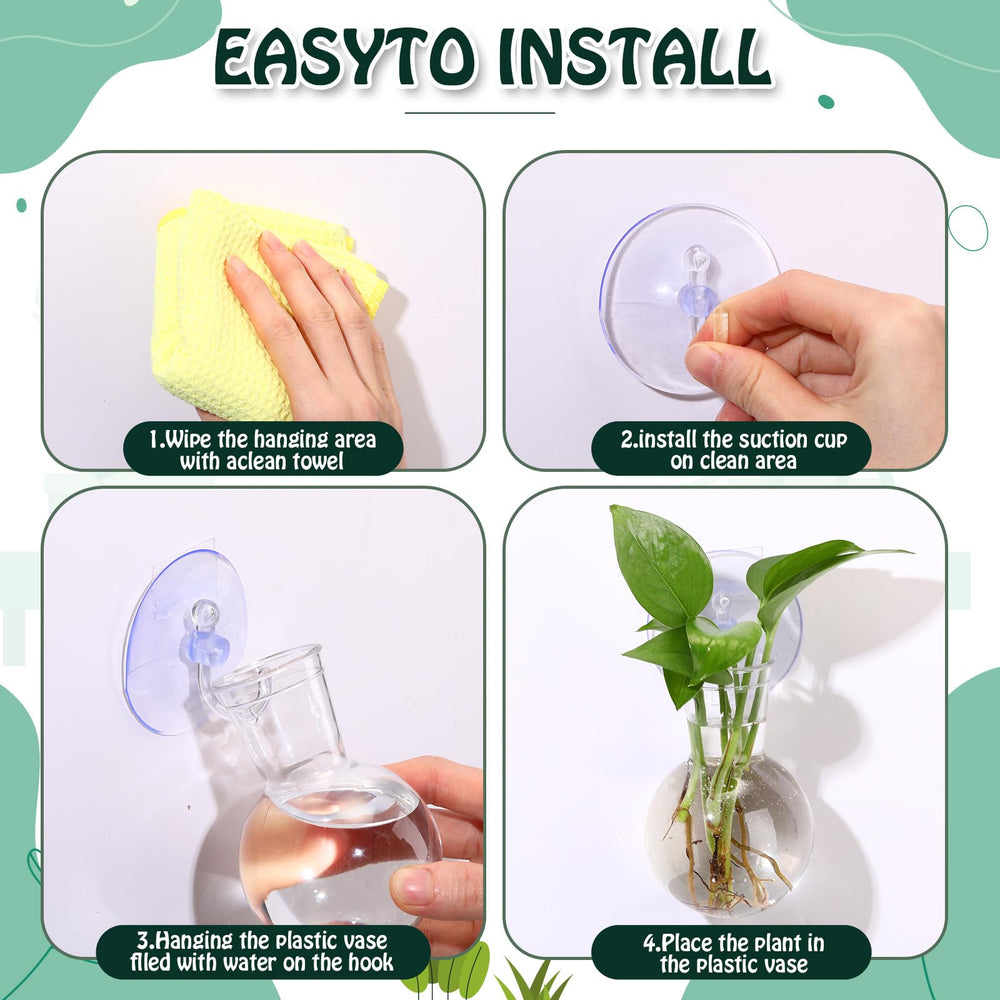 baderke vase with pothos cutting showcasing root growth visibility and propagation benefit