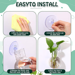 baderke vase with pothos cutting showcasing root growth visibility and propagation benefit