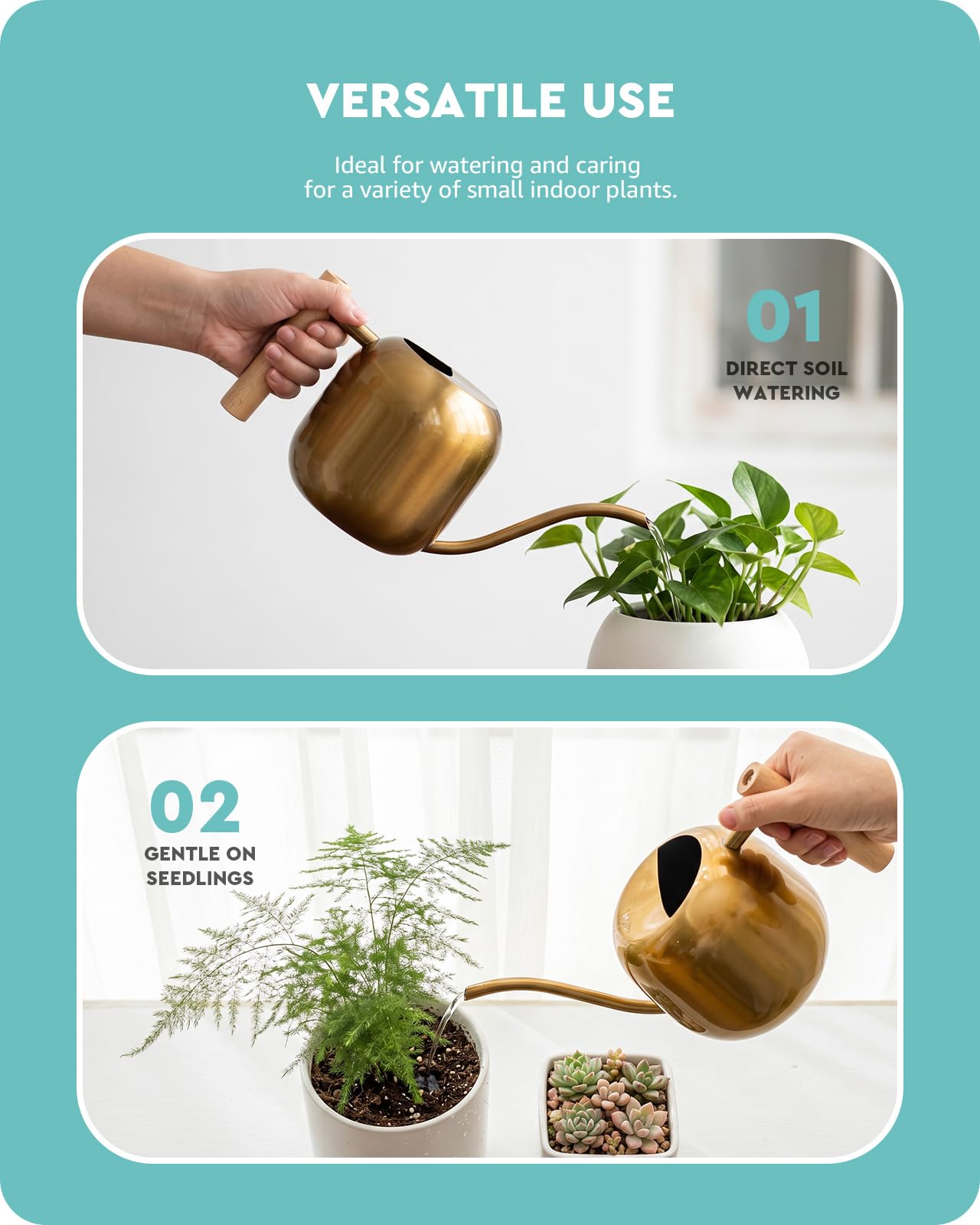 Baffect size comparison with hand and plants showing 1.2L capacity