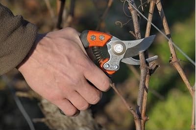 Bahco BAHPX-M2 blade close-up highlighting slicing-cut edge for cleaner wounds