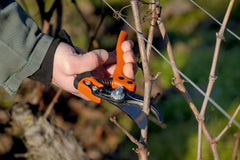 Bahco BAHPX-M2 slicing a stem illustrating clean cut and plant health benefit