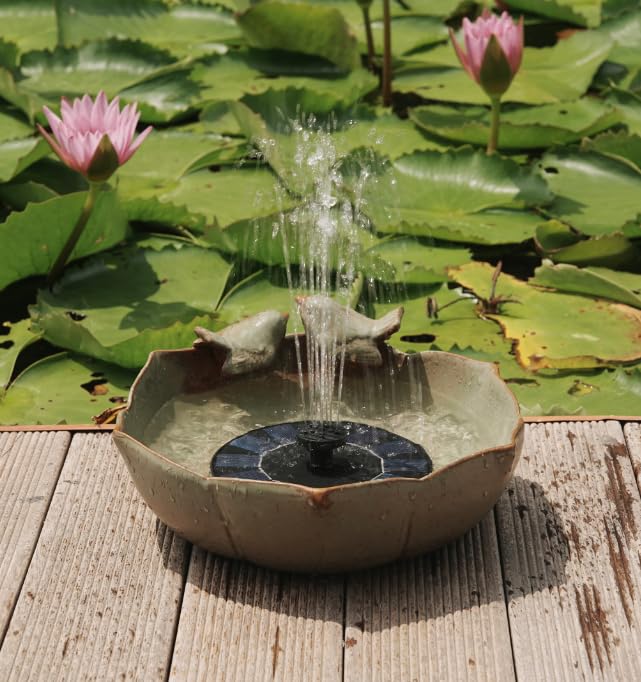 Bakayoyo bird landing in bowl illustrating wildlife-friendly design and visitor attraction