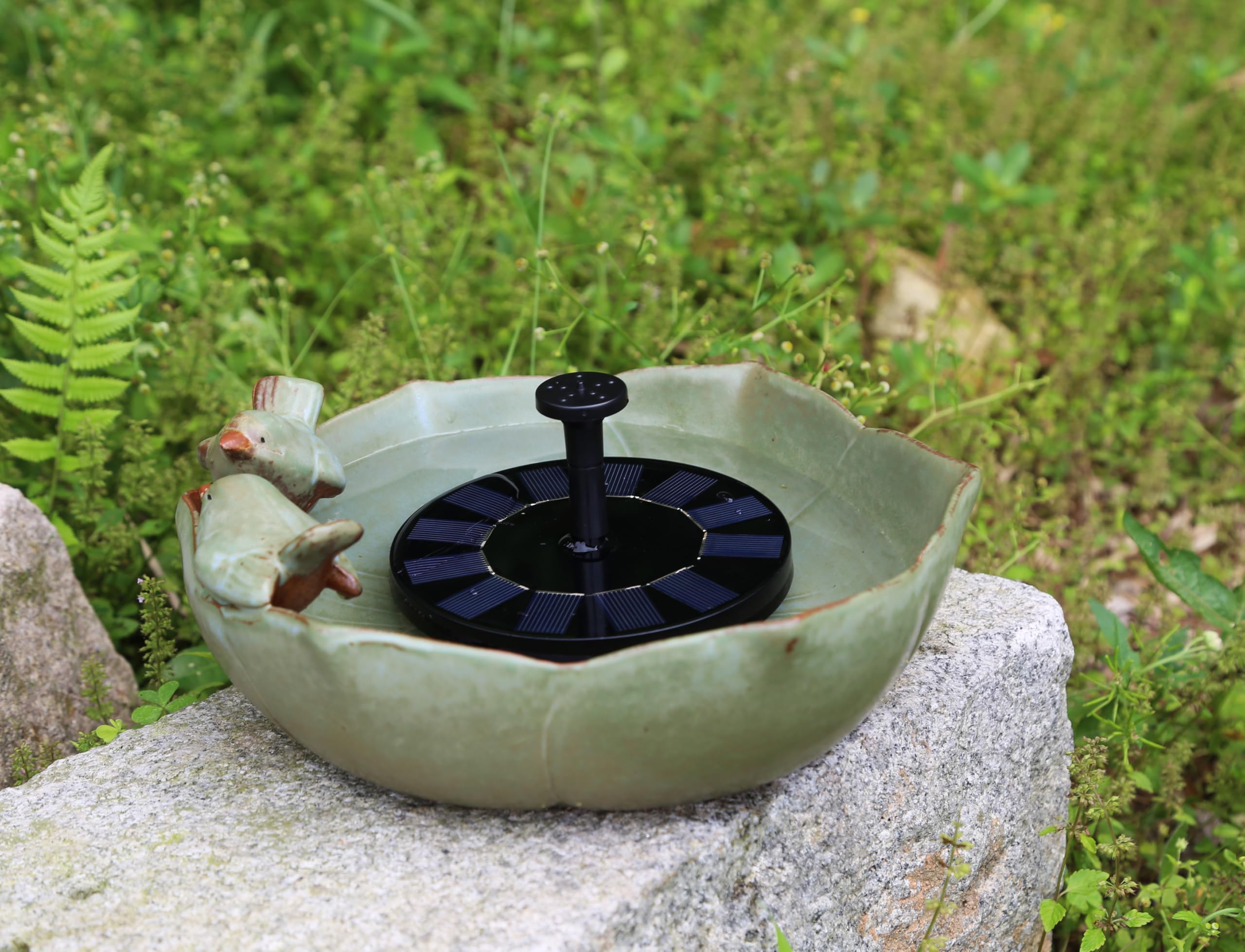 Bakayoyo planted bowl alternative use showing conversion to succulent planter for versatility