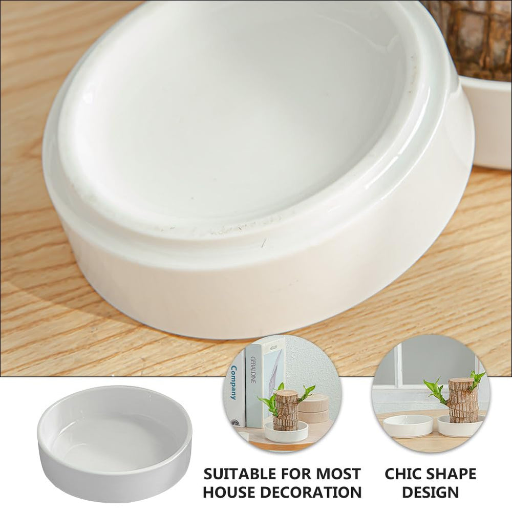 balacoo tray beside ruler for clear size comparison and fit guidance
