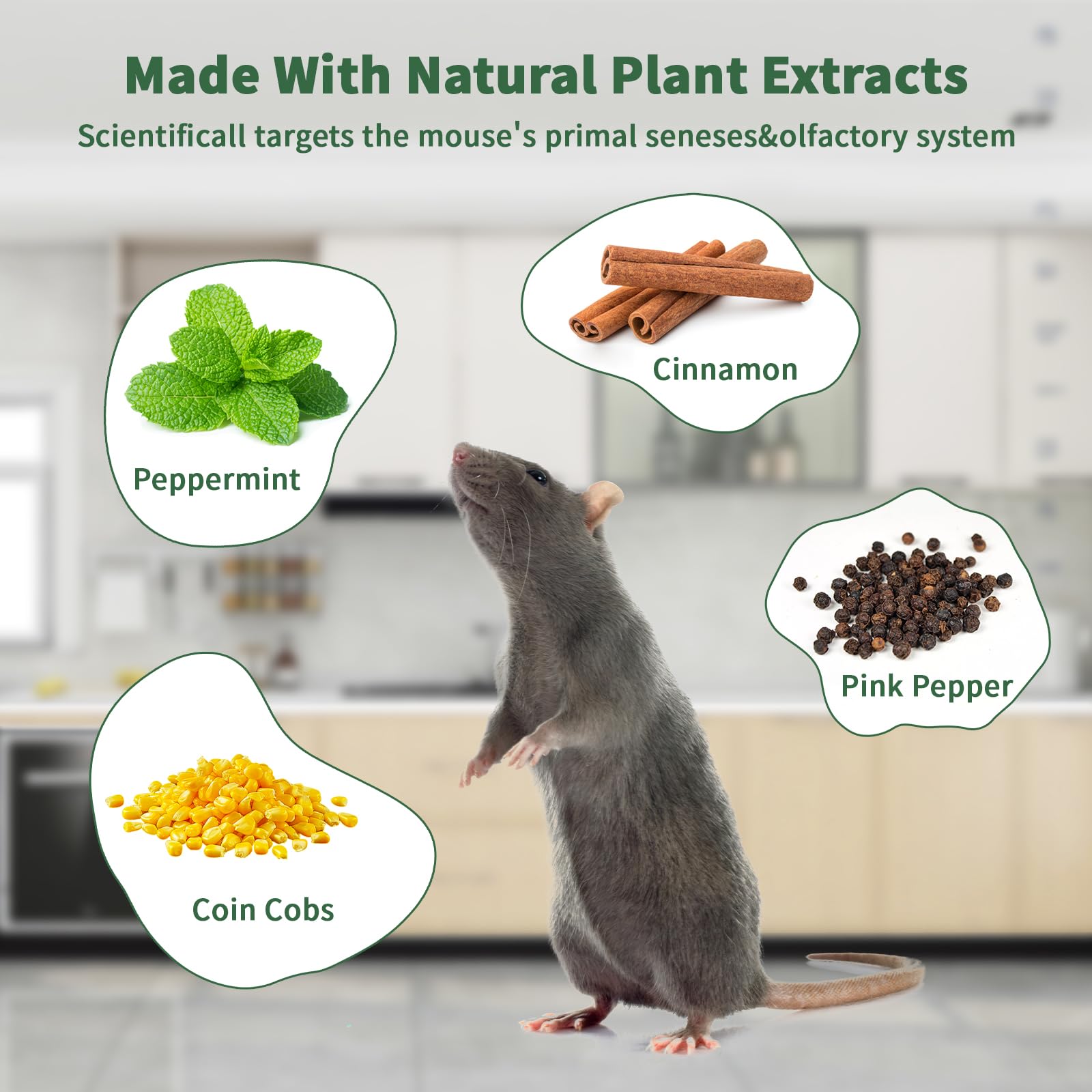 Balancexlite Plus close-up of peppermint pellet texture demonstrating concentrated oil strength