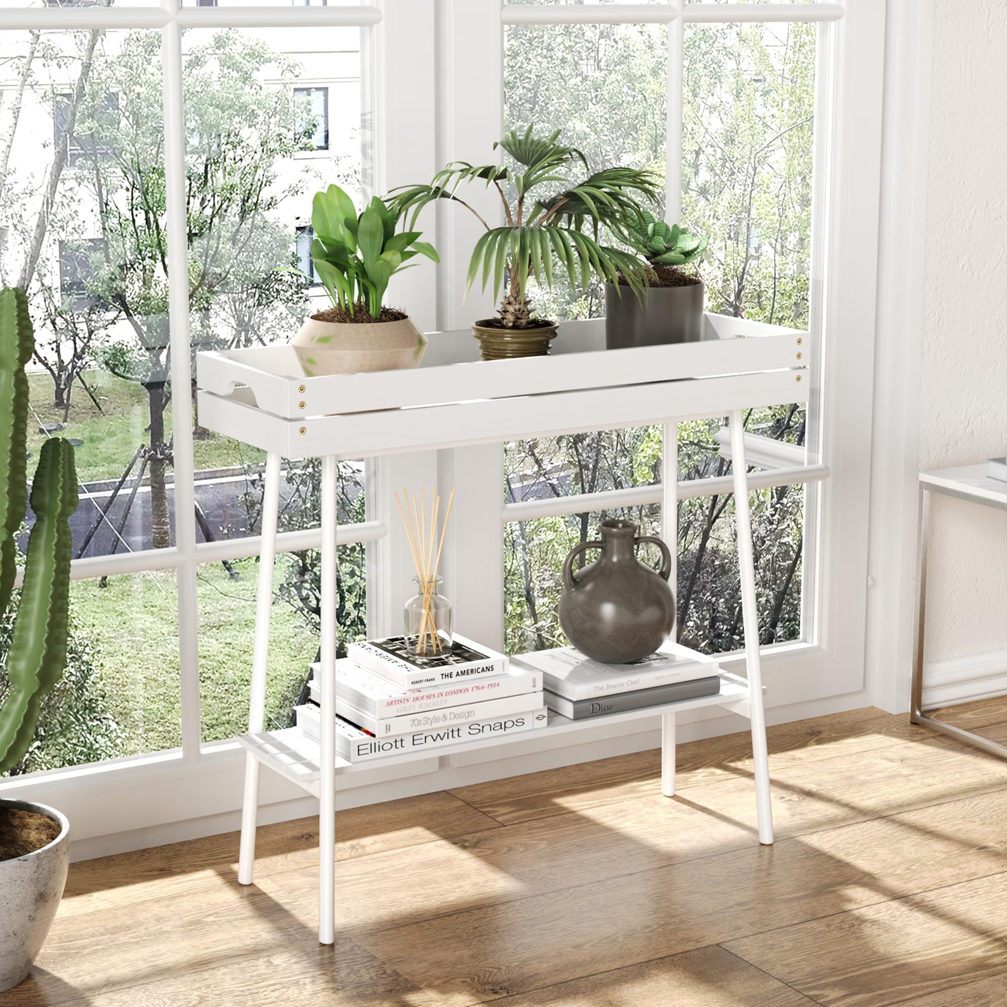 BAMBANG lifestyle living room display adding decorative plant organization