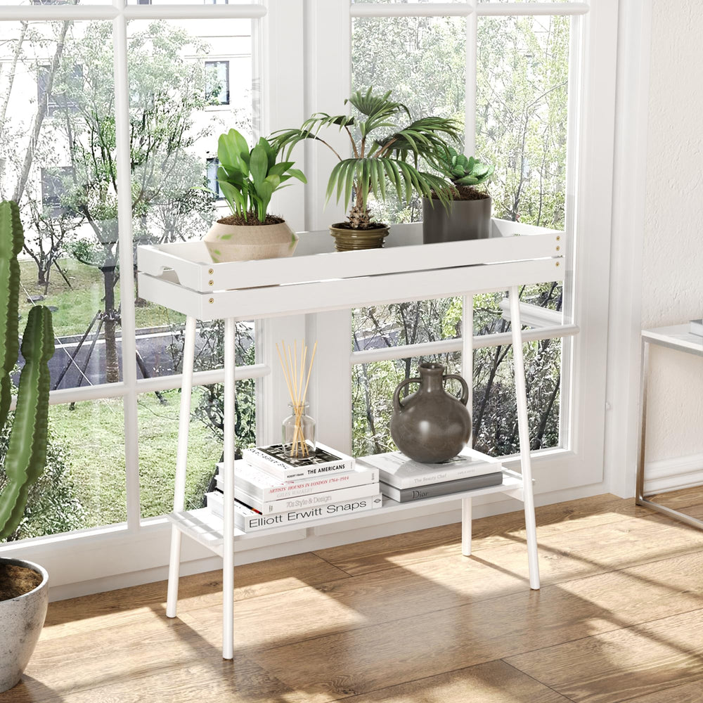BAMBANG lifestyle living room display adding decorative plant organization