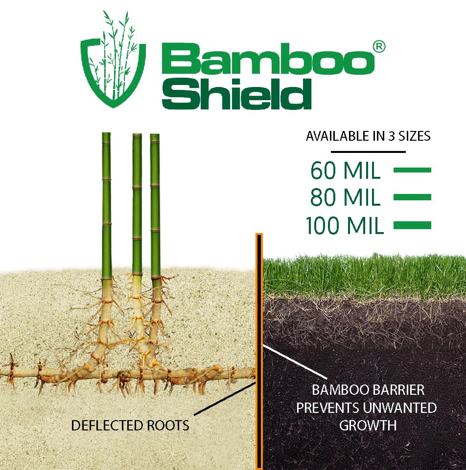 Bamboo Shield in landscaped yard showing professional containment outcome
