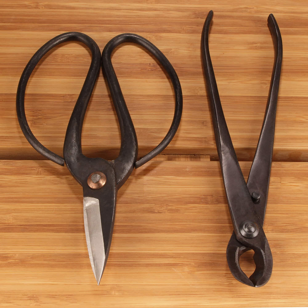 BambooMN concave cutter blade close-up demonstrating smooth cut benefit
