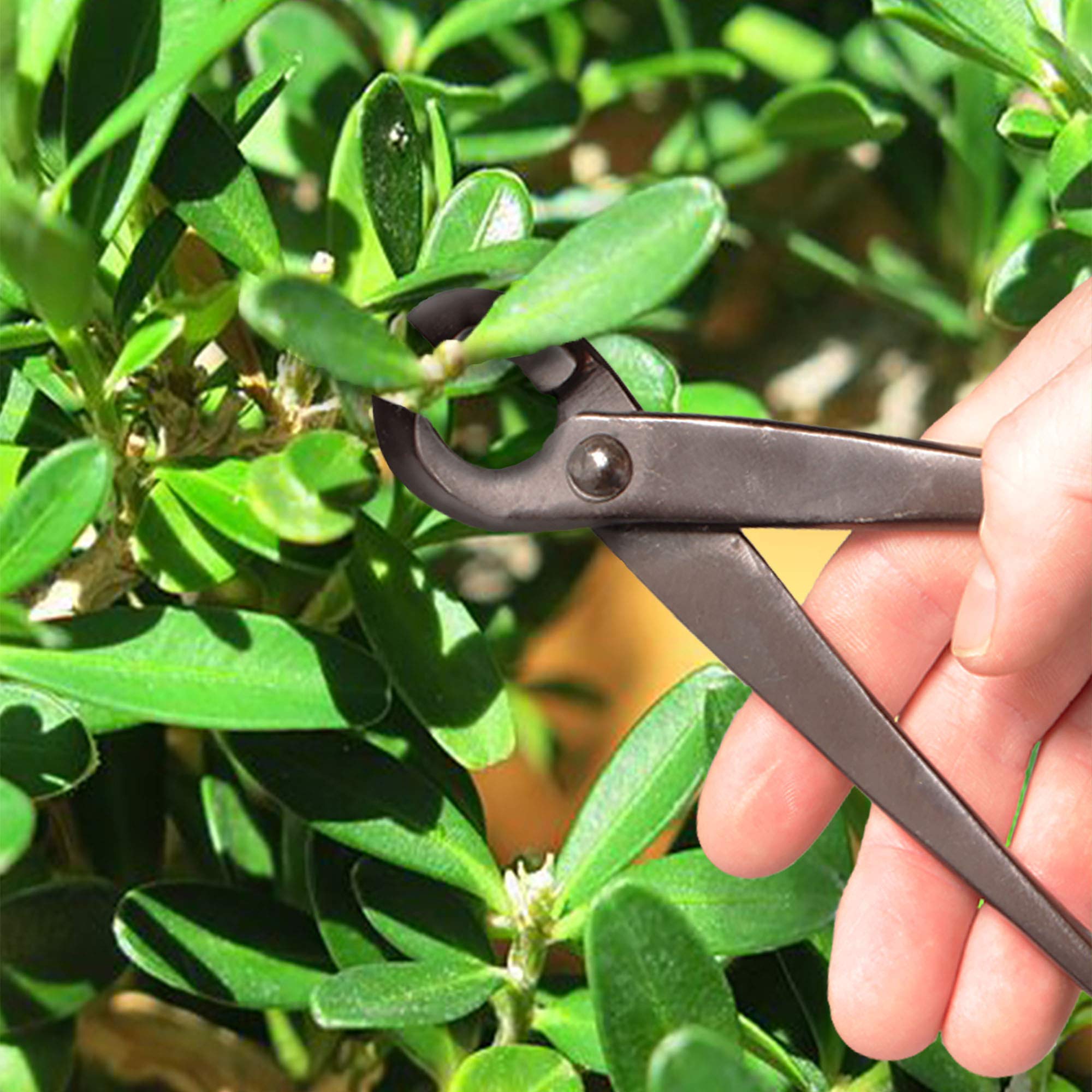 BambooMN ergonomic handle detail enhancing comfort during pruning