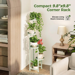 Bamworld tiered layout in living room illustrating layered plant styling and sunlight access
