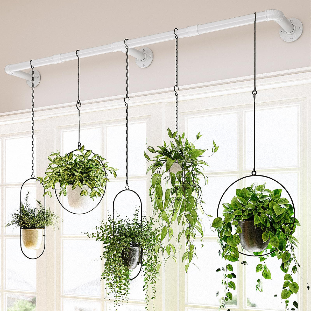 Bamworld front view of 63 inch metal plant hanger showing clean profile and capacity
