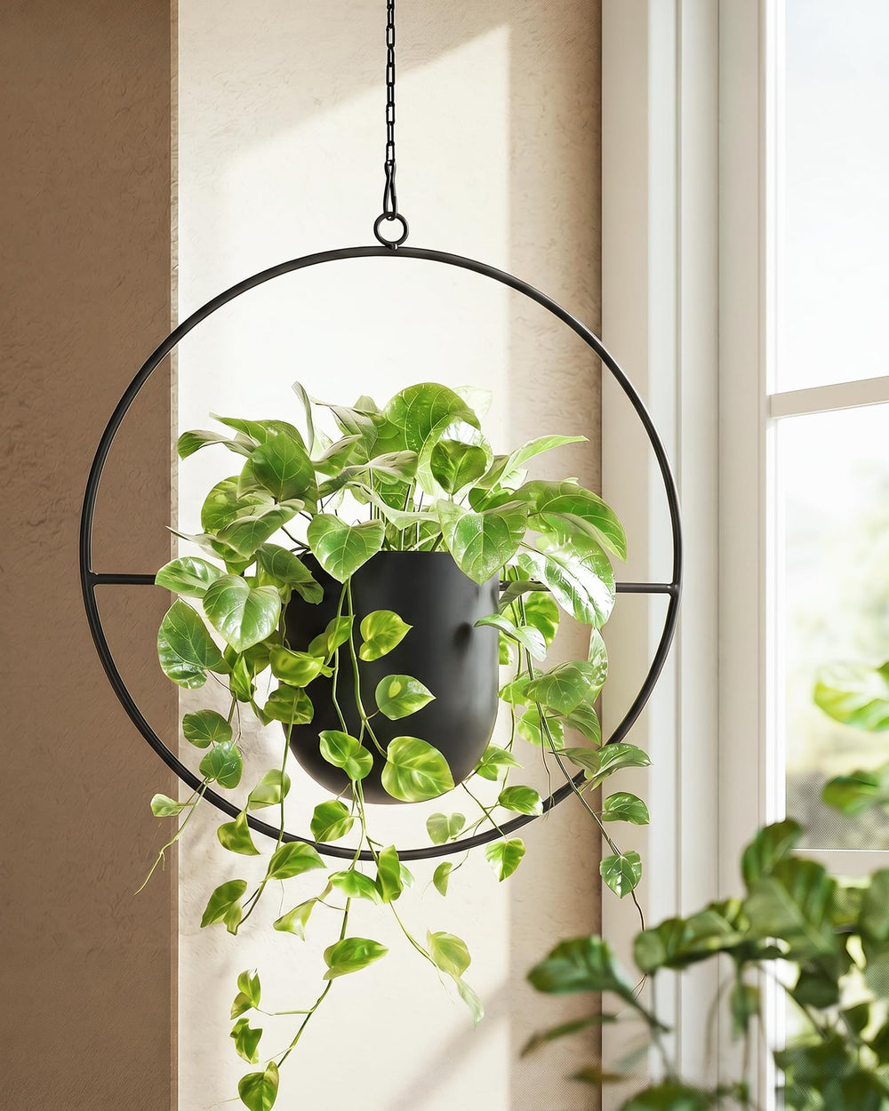 Bamworld front view of black hanging planter showing modern silhouette and durability