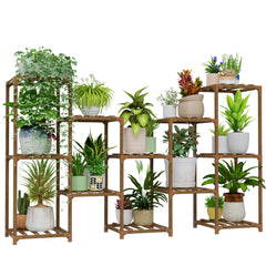 Bamworld front view showing full 12-pot shelf, neat plant display benefit