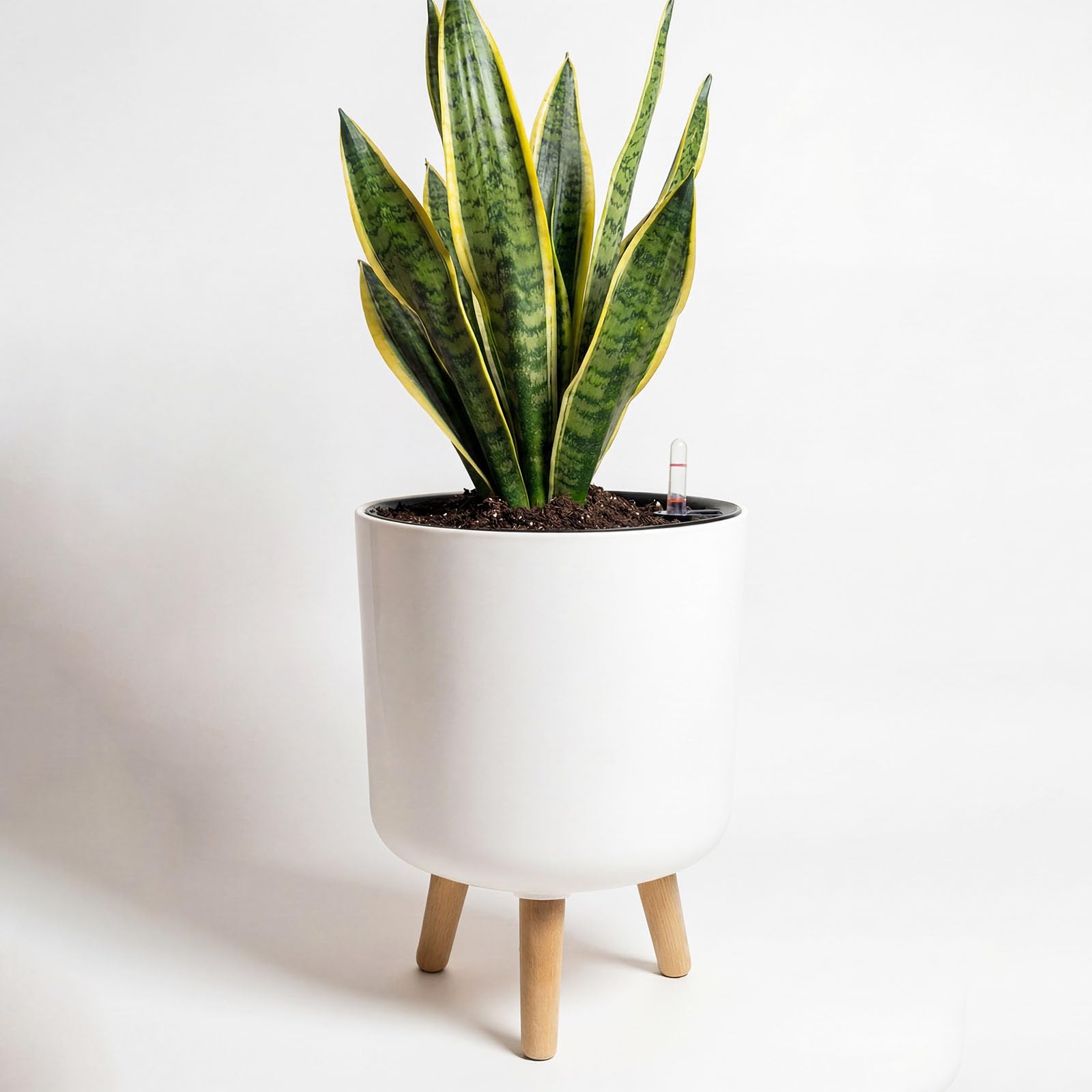 Bamworld planter front view with legs showing tidy decor benefit