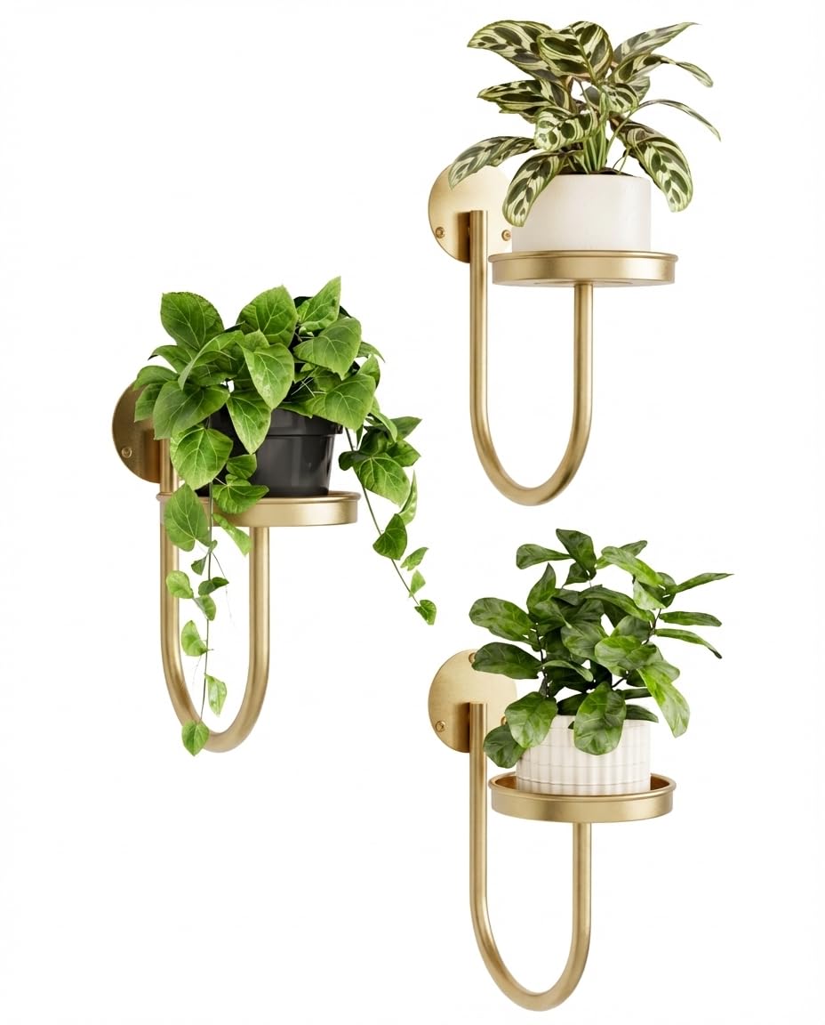 Bamworld gold wall plant holder front view showing elegant finish and sturdy shelf