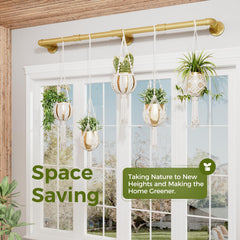 Bamworld hanger mounted in living room showcasing organized plants and space saving