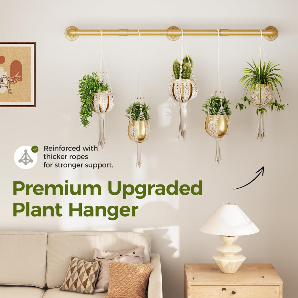 Bamworld hanger detail with trailing plants demonstrating neat display and healthy airflow
