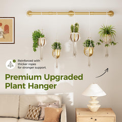 Bamworld hanger detail with trailing plants demonstrating neat display and healthy airflow