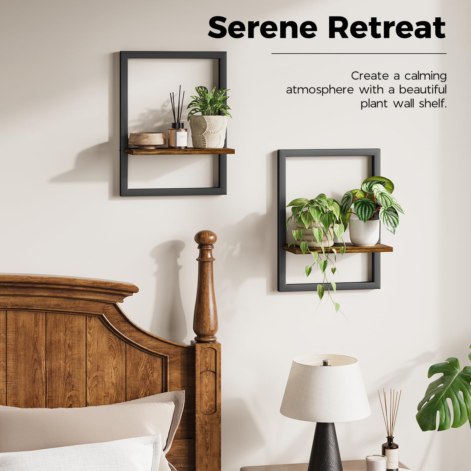 Bamworld hanging planters in living room adding natural decor and depth to walls