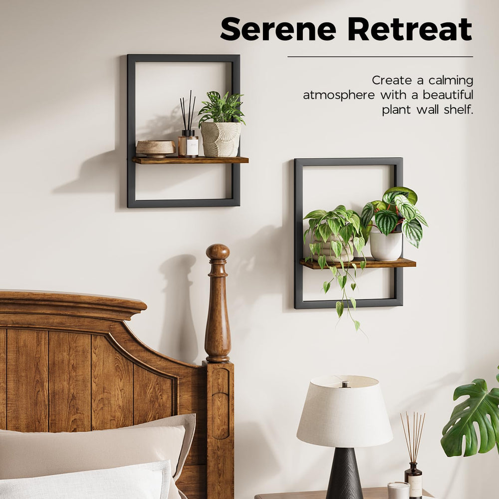 Bamworld hanging planters in living room adding natural decor and depth to walls