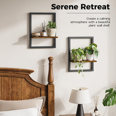 Bamworld hanging planters in living room adding natural decor and depth to walls