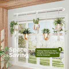 Bamworld ceiling installation with hanging plants showing space-saving benefit