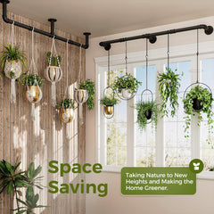 Bamworld lifestyle kitchen herb display showcasing easy access and organized herbs
