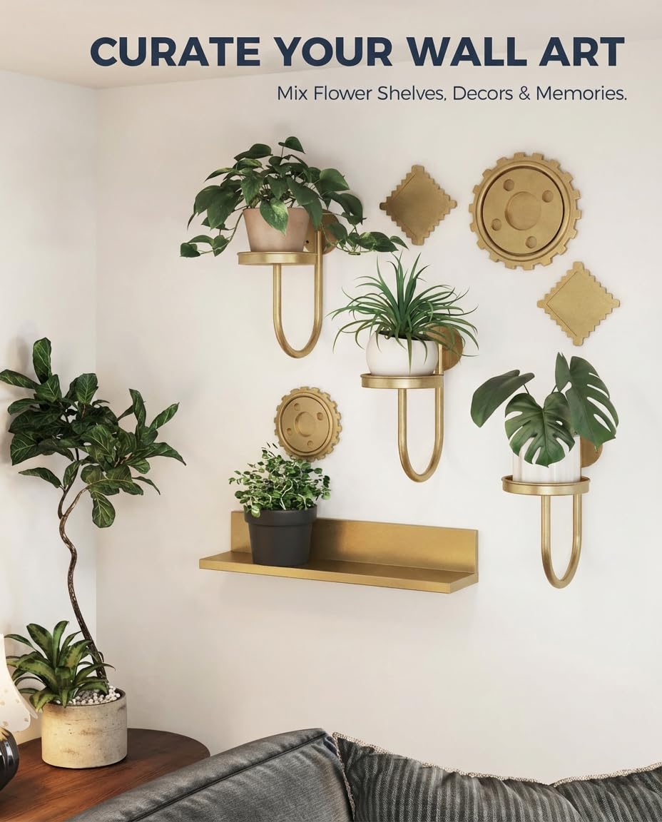 Bamworld lifestyle living room display showing organized plants and floor protection