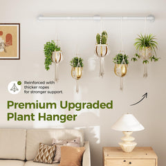 Bamworld hanging several plants along the rod to maximize vertical garden area