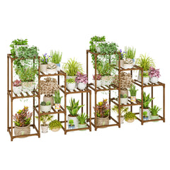 Bamworld front view of double 3-tier stands showing organized plant display and visual appeal