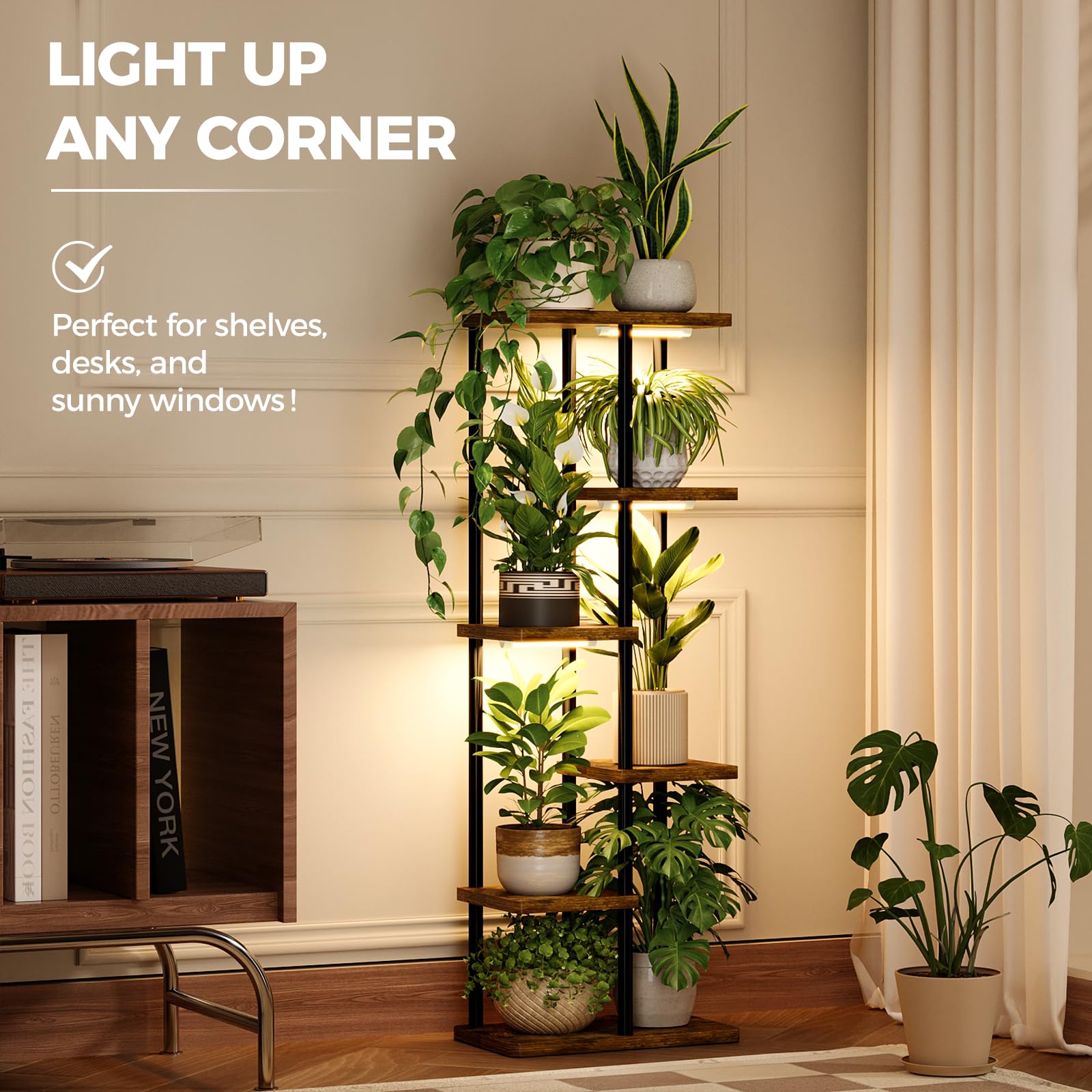 Bamworld styled shelf with assorted plants showing decorative display benefit