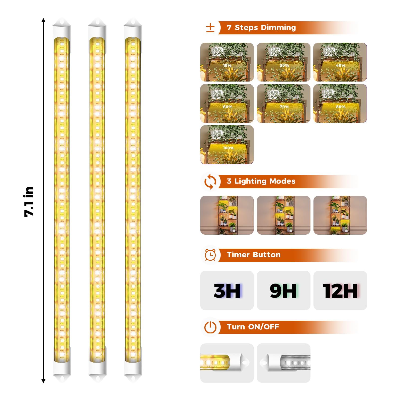 Bamworld stand beside book showing scale and compact corner footprint advantage