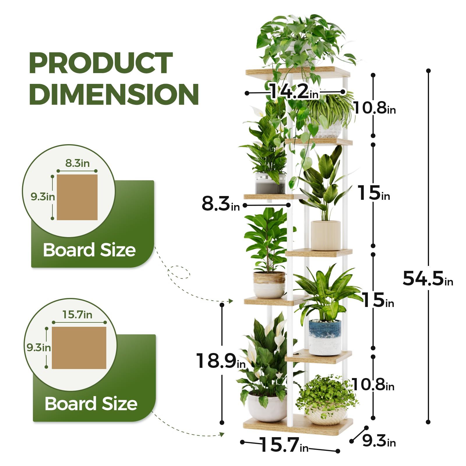 Bamworld plant stand beside a person showing height and scale benefit