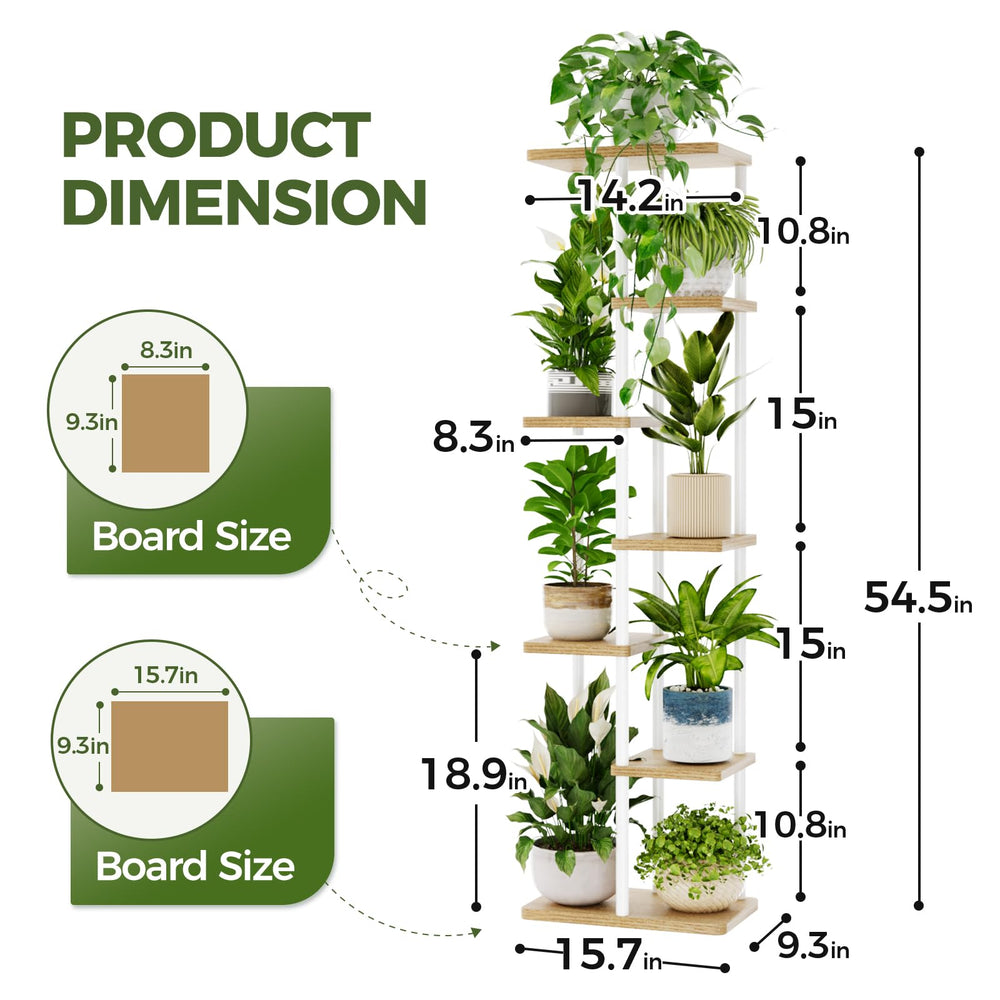 Bamworld plant stand beside a person showing height and scale benefit
