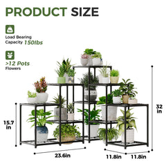 Bamworld angled view highlighting tiered shelves and staggered plant placement for light access